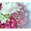 Paper lily flower set - mix 3 - 50 pcs