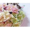 Paper lily flower set - mix 5 - 50 pcs