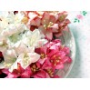Paper lily flower set - mix 7 - 50 pcs
