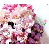 Paper lily flower set - mix 8 - 50 pcs