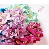 Zestaw papierowych lilii - miks 11 - 50 sztuk