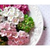 Zestaw papierowych kwiatuszków - Sweetheart mix 9 - 100 sztuk