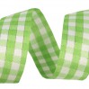 Checkered ribbon with decorative silver thread - 1 meter - light green