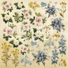 Scrapbooking paper - Fabrika Decoru - Botany Summer - Pictures for cutting