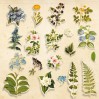 Paper die cutss - Botany Summer - Fabrika Decoru - 58 pieces