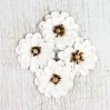 Papierowe kwiaty do rękodzieła - Mountain Daisies Classic White