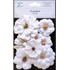 Paper flower set - Symphony Flower White